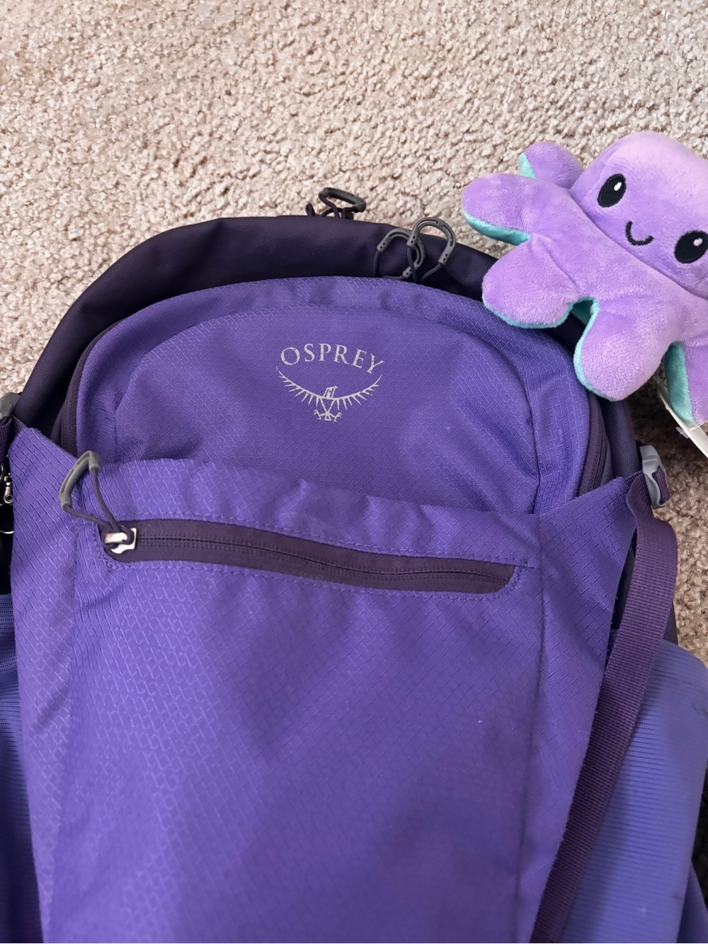 OSPREY Purple Daylite Plus Backpack - Picture 2 of 9